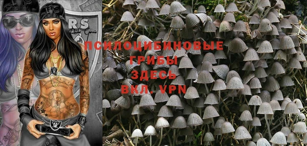 PSILOCYBIN Волоколамск